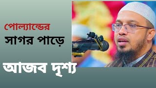 পোল্যান্ডের সাগর পাড়ে আজব দৃশ্য আহমাদুল্লাহ