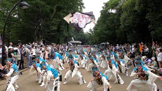 【4K】東京よさこい なな丸隊(よさこい祭りin光が丘公園 2024/パレード3)