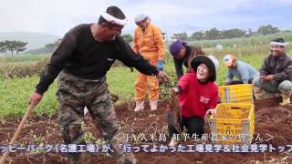 第17弾 久米島/紅芋 篇