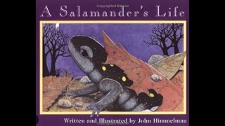 A Salamander's Life - Read Aloud