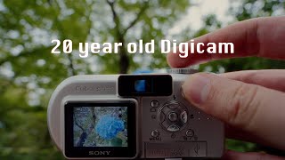 When 3 Megapixels is Enough | Sony DSC-P8