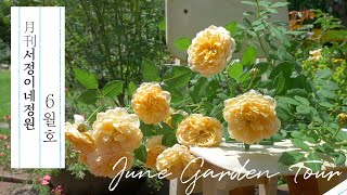 ENG) [월간서정이네정원 5월호] 양평 전원주택 정원 구경하세요 2부 / 데이비드오스틴 장미 정원 my garden tour (June)