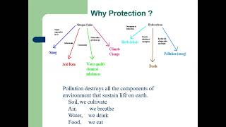 Chemical Metallurgy (Environment pollution lecture)