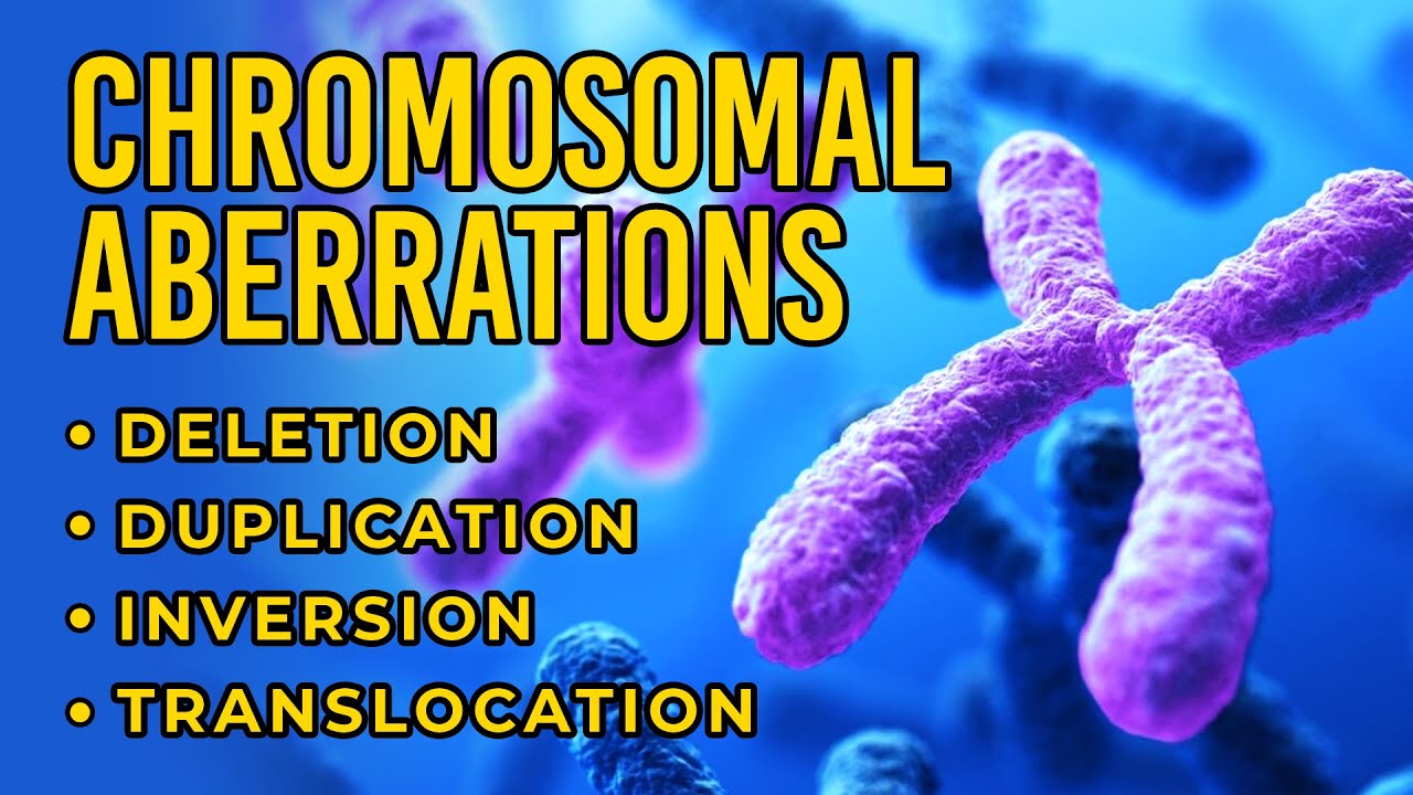 Chromosomal Aberrations | Deletion | Duplication | Inversion ...