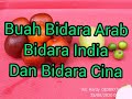 Coba Buah Bidara Arab, Bidara Cina Dan Bidara India Part 7