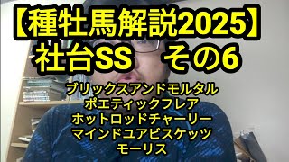 【種牡馬解説2025】社台SS　その6