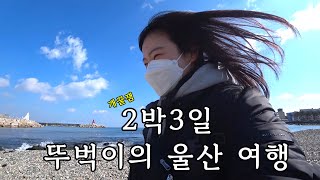 (🇰🇷)EP71. 2박 3일 뚜벅이의 ‘울산’ 여행 VLOG ㅣ배달 음식 줄이고 여행하기 (2) #울산여행 #출렁다리 #뚜벅이