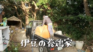 田舎暮らしの卵農家は汲み上げた地下水を鶏たちの飲み水にしました。