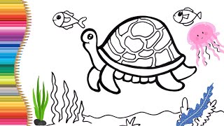 How to Draw A Tortoise, Turtle Drawing coloring & Painting For Kids & Toddlers Lets Draw