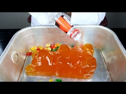 World Largest Gummy Bear Shots! World Largest Gummy Bear Shots!