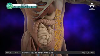 전신 질환 부르는 뱃살의 공격을 막아라!! 중년의 최대 적 뱃살! | 행복한 아침 982 회