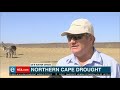 Farmers in drought-stricken Northern Cape ask for help