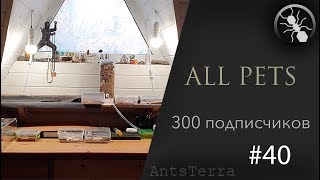 Все членистоногие//300 подписчиков//макро