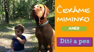 Čekáme miminko: Dítě a pes a jak se na to připravit