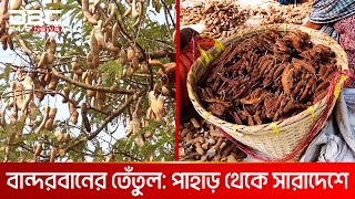 বান্দরবানের পাহাড়ি তেঁতুল | DBC NEWS Special