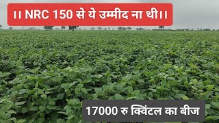 NRC 150 Soyabean Variety।। 55 दिन की अवस्था में।। एनआरसी सोयाबीन वैरायटी।। MP में सोयाबीन की खेती ।।