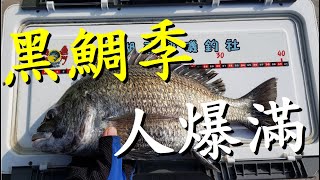 釣黑鯛#11 黑鯛季，人爆滿，還好有黑牛可以拉爽爽..XD！Fishing Black Seabream #釣魚#黑鯛#黑格#笩釣#fishing