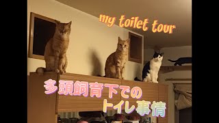 多頭飼育でのトイレ事情 / my toilet tour