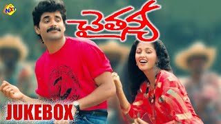 Juke Box Video Song | Chaithanya Movie Songs | Telugu Melodies | Nagarjuna | Gowthami | TVNXT Music