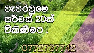 කුරුණෑගල වැවරවුම වෙලන්ගොල්ලවත්ත පර්චස් 20ක් විකිණීමට //📞0772737742