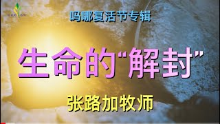 5分钟吗哪复活节专辑《生命的“解封”   》2022.4