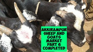 @AGRIANIMALS the akkirampur sheep and goats market part 6 completed