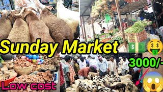 Cheapest Prize of Birds and Animals | Pet Market | Animals Market | Yemmiganur Market | Vegetables