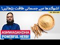 Ashwagandha Ke Fawaid: Taqat Se Bharpoor! Benefits Of Asgand [Urdu/Hindi] Dr. Ibrahim