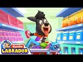 🔍Sheriff Labrador - Compras en el Supermercado 🛍️ | Videos para Niños | BabyBus en Español