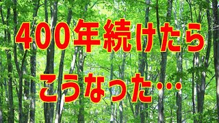 【海外の反応】日本に緑が多い理由とは？海外「どーせ輸入に頼ってるからだろ？」「自国の木材を使え！」