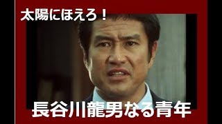 「太陽にほえろ!｣に捧げる　長谷川龍男なる青年