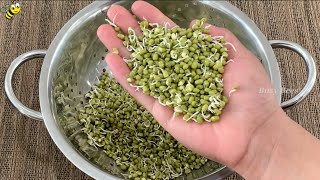 How to Sprout Mung Beans | Easy Step by Step