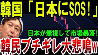 【速報】日本の無視で韓国経済崩壊寸前!? 市場暴落に韓国民がブチギレ!【ゆっくり解説】