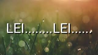 LEI LEI | LYRICS | AJ MAISNAM | PUSPARANI |