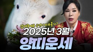 2025년 을사년 양력 3월 양띠 운세 | 91년생 79년생 67년생 55년생