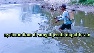 Nyetrum ikan di sungai jernih‼️Nyetrum ikan di sungai dapat besar