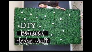 DIY MOBILE HEDGE WALL (SUPER AFFORDABLE!)