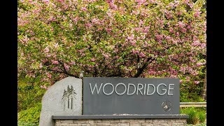 The Woodridge Community Experience