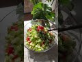 easy summer snack🍉 shortsbeta healthyrecipes healthylifestyle easyrecipes