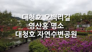 대청호오백리길 - 영산홍 필때 걷기 좋은 대청호자연수변공원 드론촬영