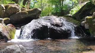 🥰🥰아름다운 봄 청량하고 시원한 계곡물 흐르는 자연의 소리  (nature-sound of flowing valley water) #ASMR #힐링 #수면 #불면증 #백색소음