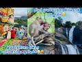 💥குற்றாலம்/One day family tour to courtallam🥵After many years🙌🏻#tour #vlog #tamilnadu #courtallam