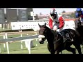 CELESTIAL LOVE - 2021 WORLD SPORTS BETTING MAN O' WAR SPRINT (Grade 3)