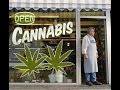 Legal Marijuana Is A Giant Economic Success