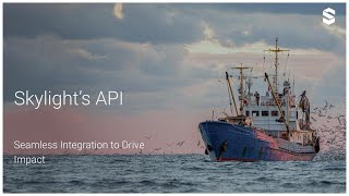 Skylight's API overview