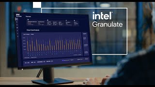 Intel Granulate: Performance Overview