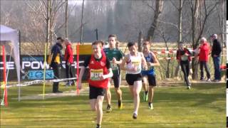 ÖM-Crosslauf: Burschen U16