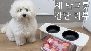 강아지 밥그릇 간단 리뷰 (7S 시리즈 2구식기 블랙)