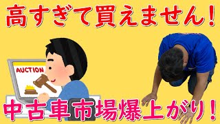 【オークション会場】に行ってきました！最近の相場感をお伝え！