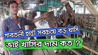 গাবতলী হাট  খাসির দাম কত ? Gabtoli Haate Goat price-2019